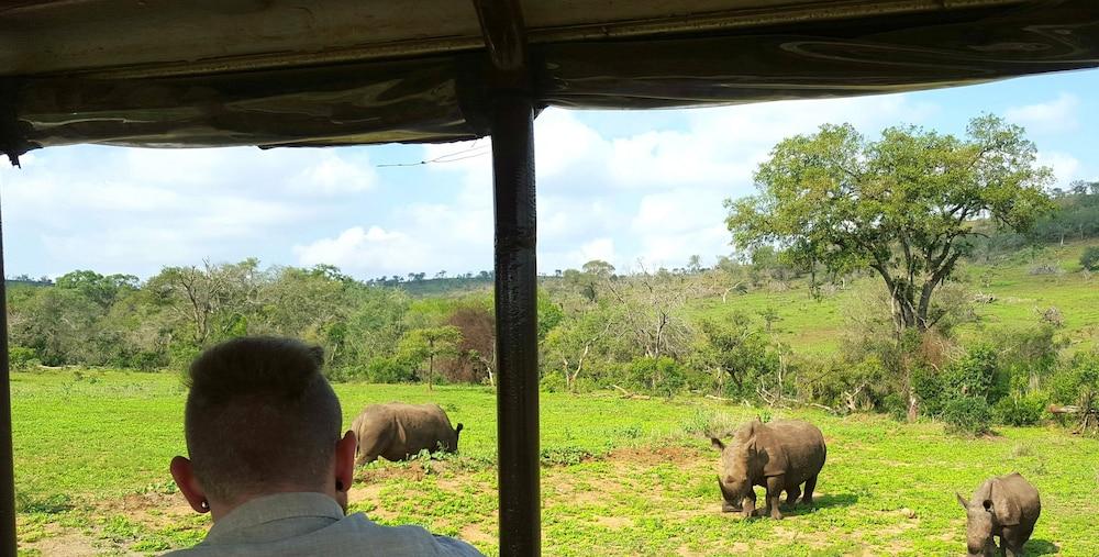 Lodge Afrique Saint Lucia Estuary المظهر الخارجي الصورة